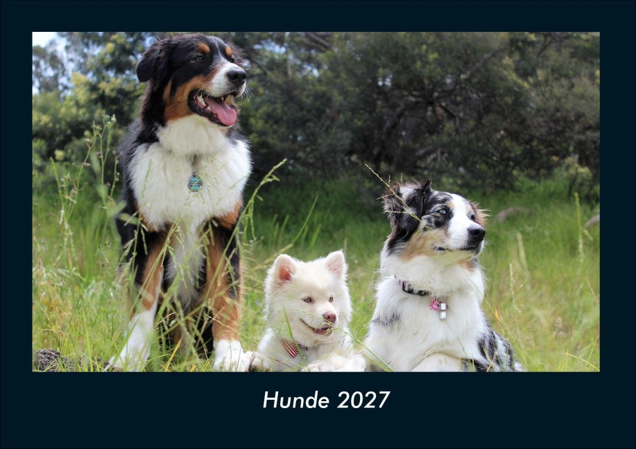 Hunde 2027 Fotokalender DIN A4 - Tobias Schmitt, Kevin Heber