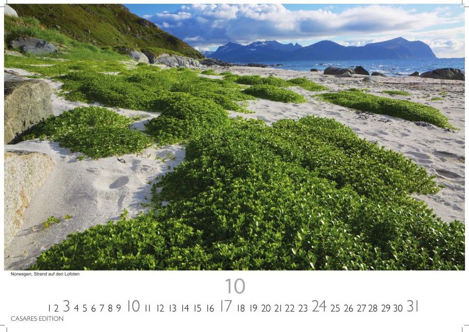 InsideView 10