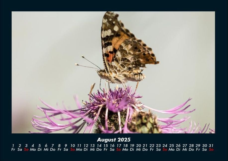 InsideView 12