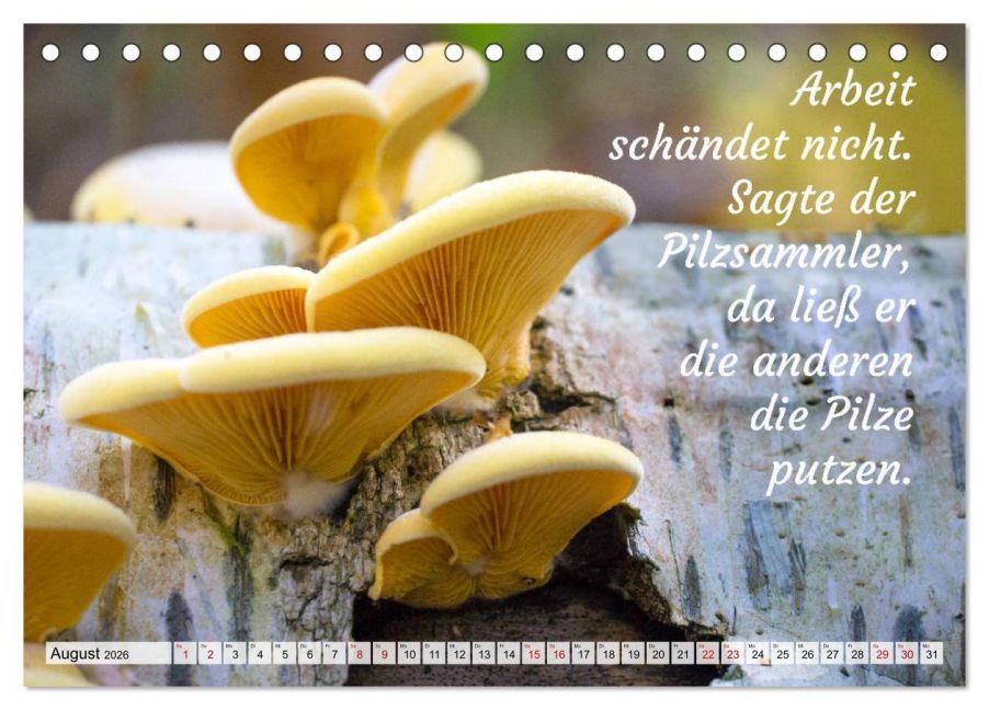 InsideView 13