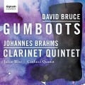 Gumboots/Klarinettenquintett op.115 - Julian/Carducci String Quartet Bliss