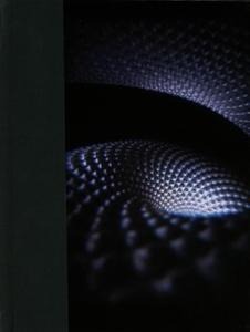 Fear Inoculum - Tool