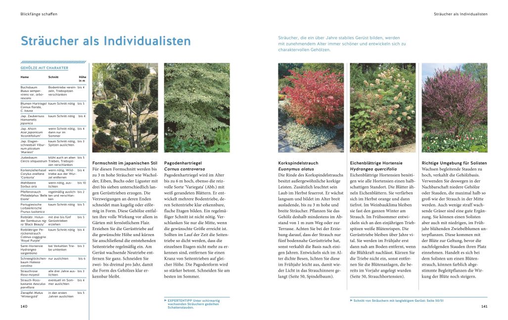 InsideView 6