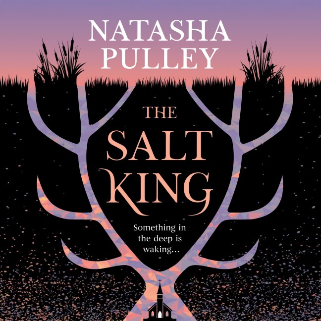 The Salt King - Natasha Pulley