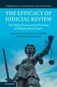 Cover-Bild zum Titel 'The Efficacy of Judicial Review' von 'Amanda Driscoll, Jay N Krehbiel, Michael J Nelson'