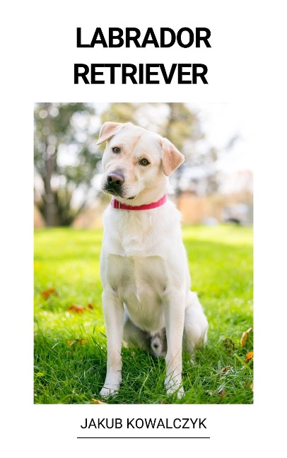 Labrador Retriever - Jakub Kowalczyk
