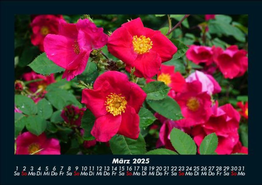 InsideView 7