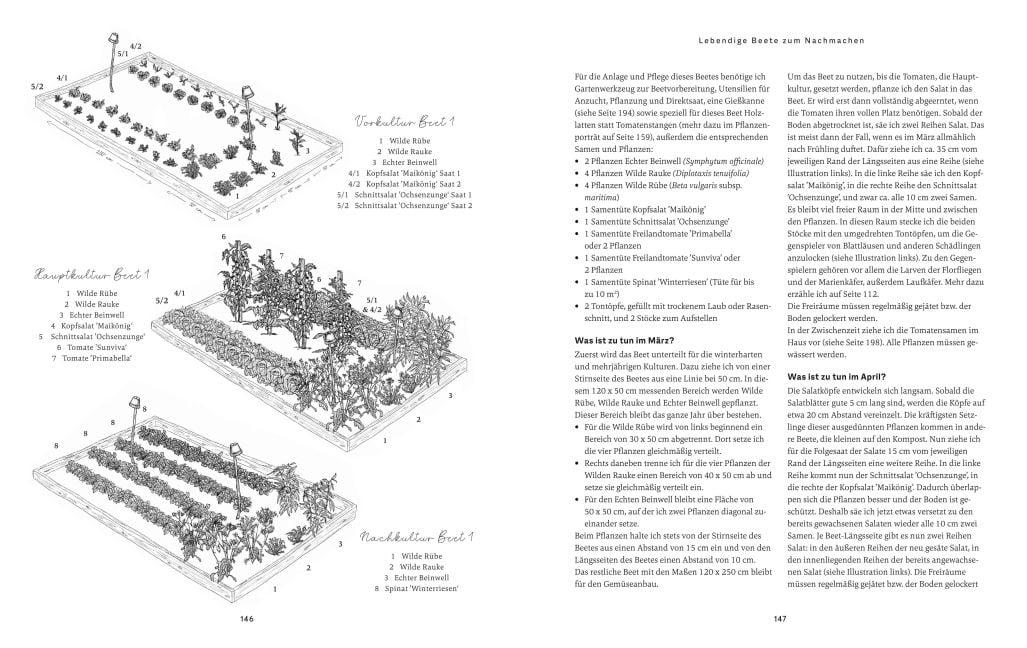 InsideView 6