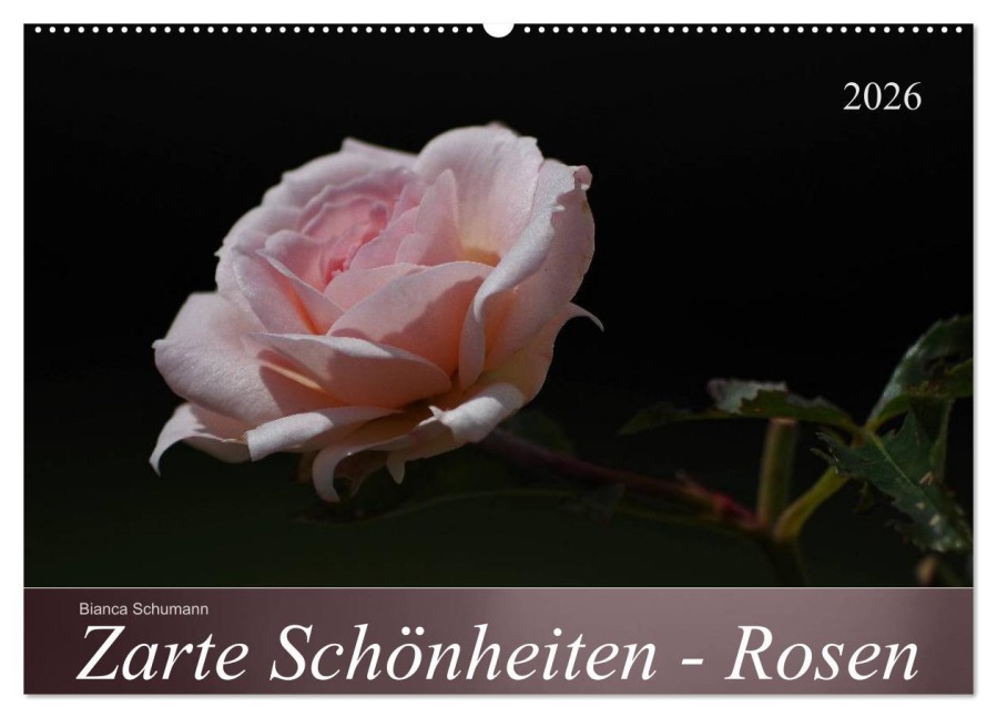 Zarte Schönheiten - Rosen (Wandkalender 2026 DIN A2 quer), CALVENDO Monatskalender - Bianca Schumann