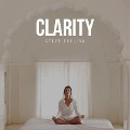 Clarity - Steve Pavlina