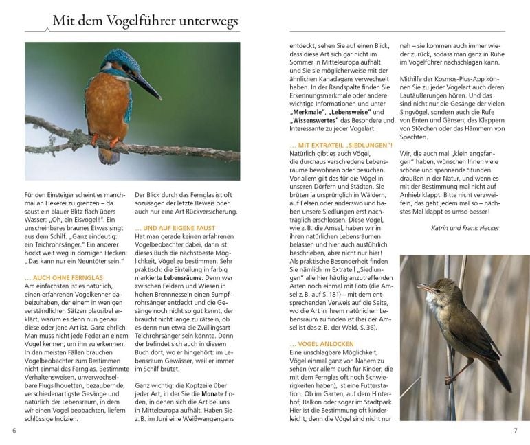 InsideView 2