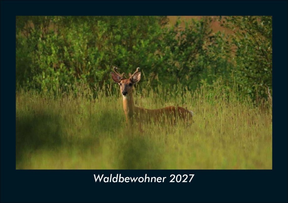 Waldbewohner 2027 Fotokalender DIN A5 - Tobias Schmitt, Kevin Heber