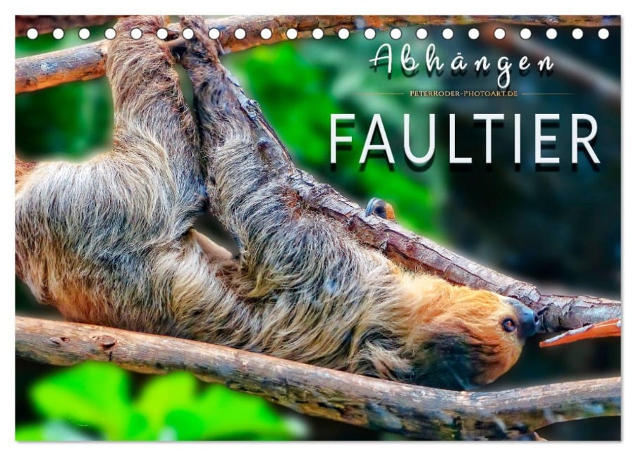Abhängen - Faultier (Tischkalender 2026 DIN A5 quer), CALVENDO Monatskalender - Peter Roder