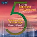 Anton Bruckner Project-The Symphonies,Vol.5 - Hansjörg Albrecht