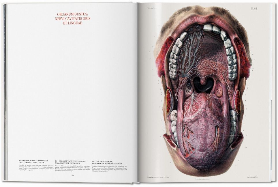 InsideView 5