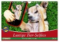 Lustige Tier-Selfies. Tierische Selbstportraits (Wandkalender 2024 DIN A4 quer), CALVENDO Monatskalender - Elisabeth Stanzer