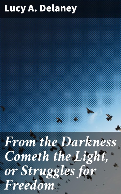 From the Darkness Cometh the Light, or Struggles for Freedom - Lucy A. Delaney