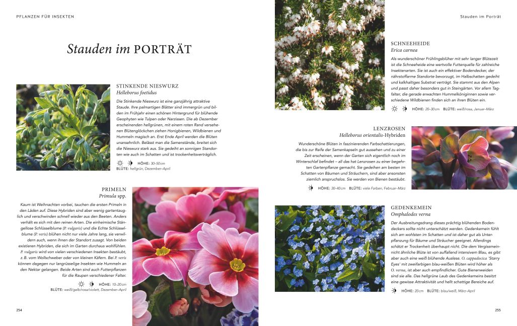 InsideView 6