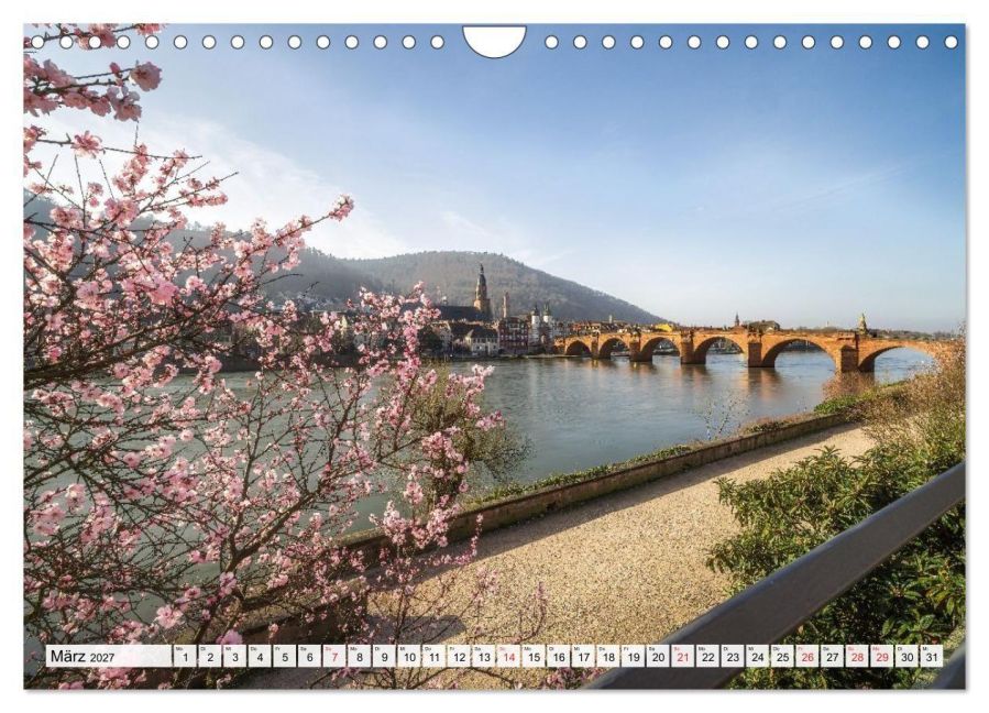 InsideView 8