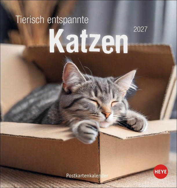 Tierisch entspannte Katzen Postkartenkalender 2027 - 