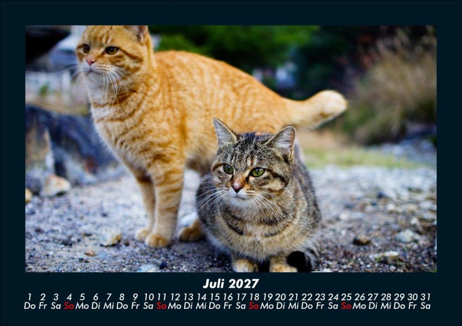 InsideView 11