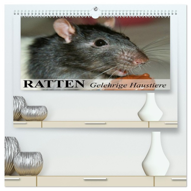 Ratten - Gelehrige Haustiere (hochwertiger Premium Wandkalender 2026 DIN A2 quer), Kunstdruck in Hochglanz - Elisabeth Stanzer