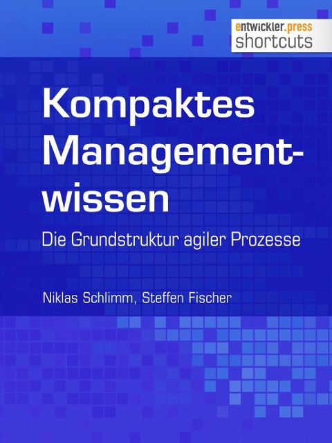 Kompaktes Managementwissen - Niklas Schlimm, Steffen Fischer