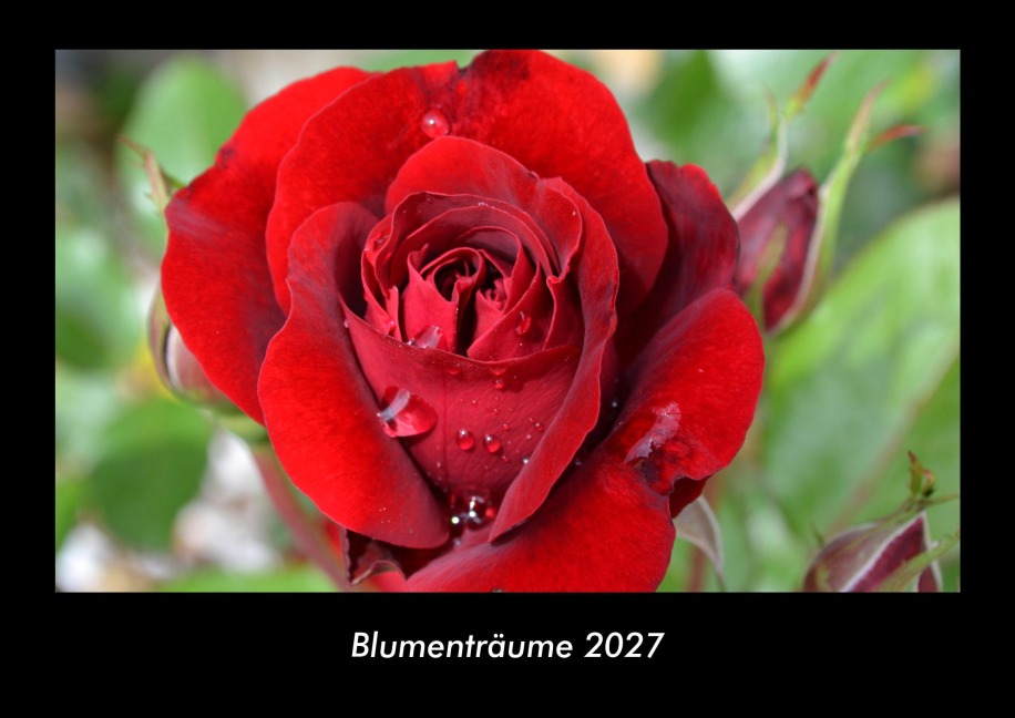 Blumenträume 2027 Fotokalender DIN A3 - Tobias Becker