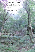 Cover-Bild zum Titel 'By the Star's Blood-Bright Star Journals #3' von 'Byron Calhoun'