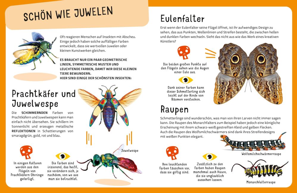 InsideView 8