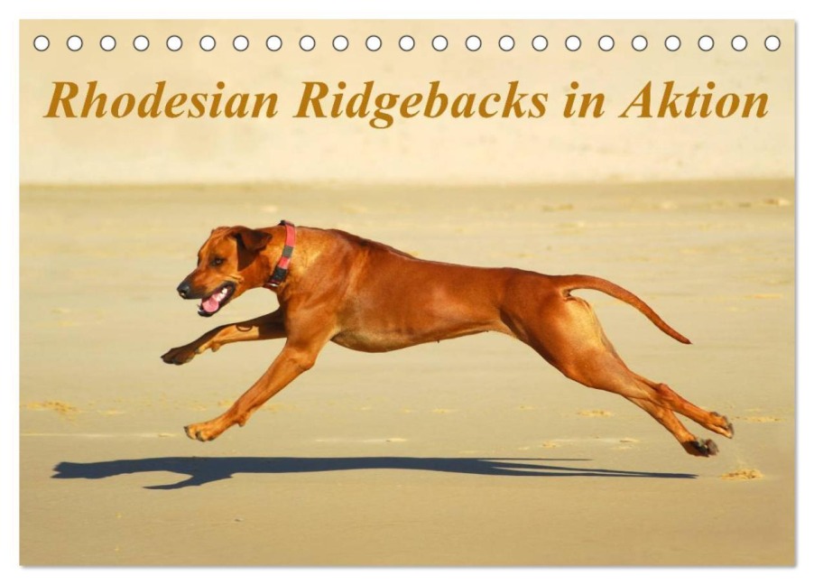 Rhodesian Ridgebacks in Aktion (Tischkalender 2026 DIN A5 quer), CALVENDO Monatskalender - Anke van Wyk - www. germanpix. net