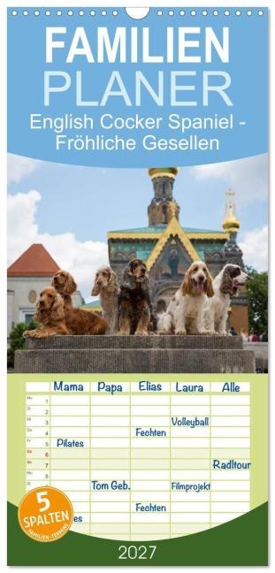 Familienplaner 2027 - English Cocker Spaniel - Fröhliche Gesellen mit 5 Spalten (Wandkalender, 21 x 45 cm) CALVENDO - Fotodesign Verena Scholze