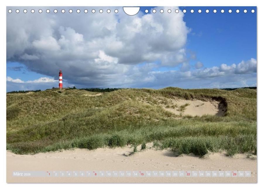 InsideView 8
