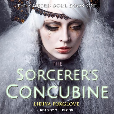 The Sorcerer's Concubine Lib/E - Jaclyn Dolamore