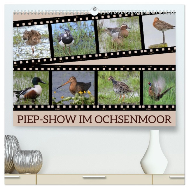 PIEP-SHOW im Ochsenmoor (hochwertiger Premium Wandkalender 2026 DIN A2 quer), Kunstdruck in Hochglanz - Diane Jordan