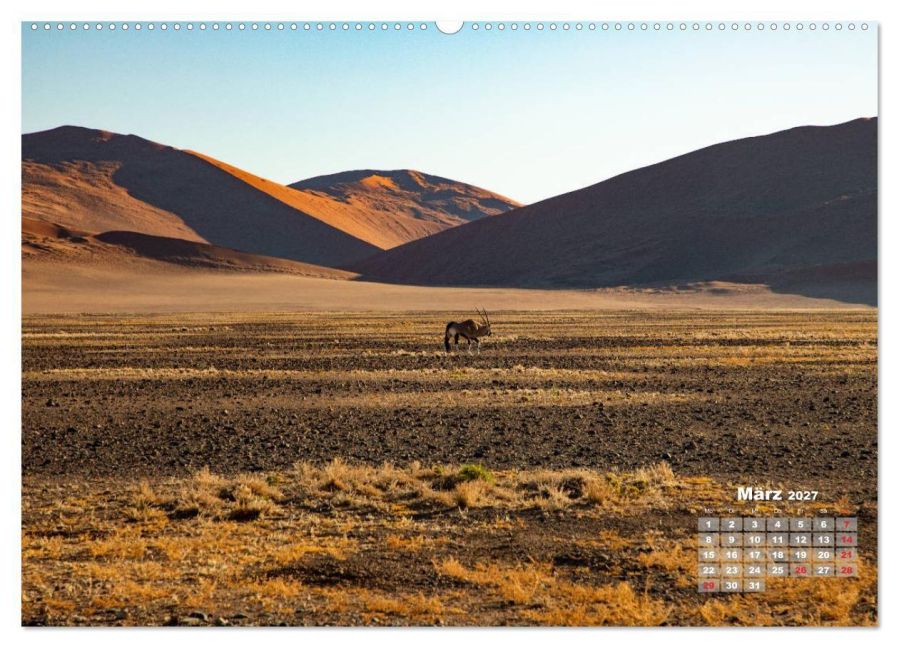 InsideView 8