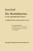 Cover-Bild zum Titel 'Die Nachlaßsachen in der gerichtlichen Praxis' von 'Arthur Brand, J. Kleeff'