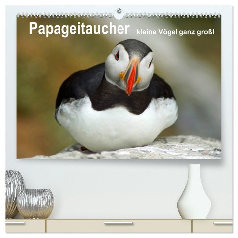 Papageitaucher - kleine Vögel ganz groß! (hochwertiger Premium Wandkalender 2025 DIN A2 quer), Kunstdruck in Hochglanz - Babett Paul - Babett's Bildergalerie