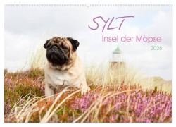 Cover-Bild zum Titel 'Sylt - Insel der Möpse (Wandkalender 2026 DIN A2 quer), CALVENDO Monatskalender' von 'Ole Dodeck'