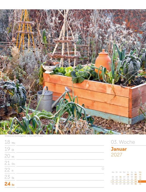 InsideView 7