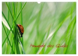 Cover-Bild zum Titel 'Momente des Glücks (Wandkalender 2026 DIN A3 quer), CALVENDO Monatskalender' von 'Avianaarts Design Fotografie By Tanja Riedel'