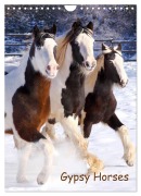 Cover-Bild zum Titel 'Gypsy's (Wandkalender 2026 DIN A4 hoch), CALVENDO Monatskalender' von 'Gabriela Wejat-Zaretzke'