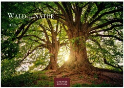 Wald + Natur 2026 L 35x50cm - 