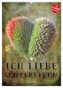 Cover-Bild zum Titel 'Ich liebe Sempervivum (Wandkalender 2026 DIN A2 hoch), CALVENDO Monatskalender' von 'Martina Cross'