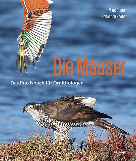Die Mauser - Marc Duquet, Sébastien Reeber
