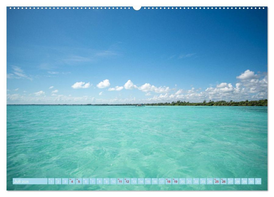 InsideView 11