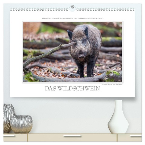 Emotionale Momente: Das Wildschwein. / CH-Version (hochwertiger Premium Wandkalender 2025 DIN A2 quer), Kunstdruck in Hochglanz - Ingo Gerlach GDT