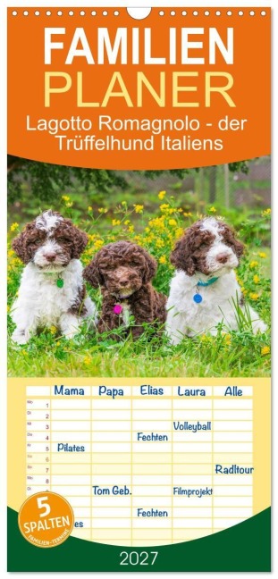 Familienplaner 2027 - Lagotto Romagnolo - der Trüffelhund Italiens mit 5 Spalten (Wandkalender, 21 x 45 cm) CALVENDO - Sigrid Starick