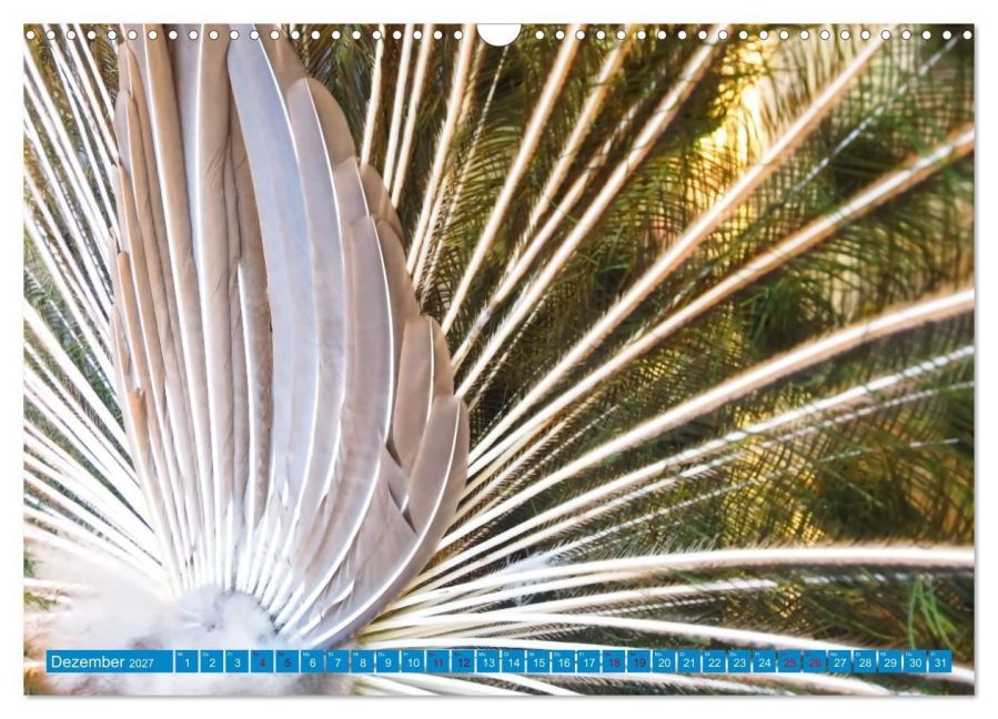 InsideView 4