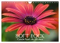 Soft Rock - Visuelle Musik der Blumen (Wandkalender 2024 DIN A4 quer), CALVENDO Monatskalender - Vronja Photon (Veronika Verenin)